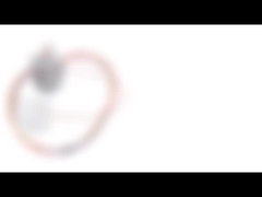 12V 7,5 Draht des Grad-Dauermagnetschrittmotor-30mm 5