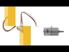 Verschiedener Winkel-Schrittmotor des Gang-Verhältnis-20BY45-20G 20mm des Schritt-18° mit Getriebe