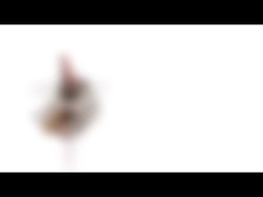 10mm Mikroschrittmotor 5VDC 10BY25 P.M. Mini Stepping Motor