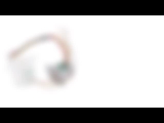 Zweipolige Mikrophase 2 des Schrittmotors 20mm des Antriebs-24V mit Metal Gear